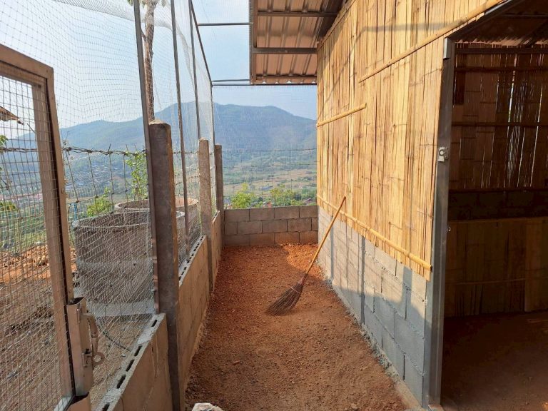 LINE_ALBUM_แปลงเกษตร3_260505_20
