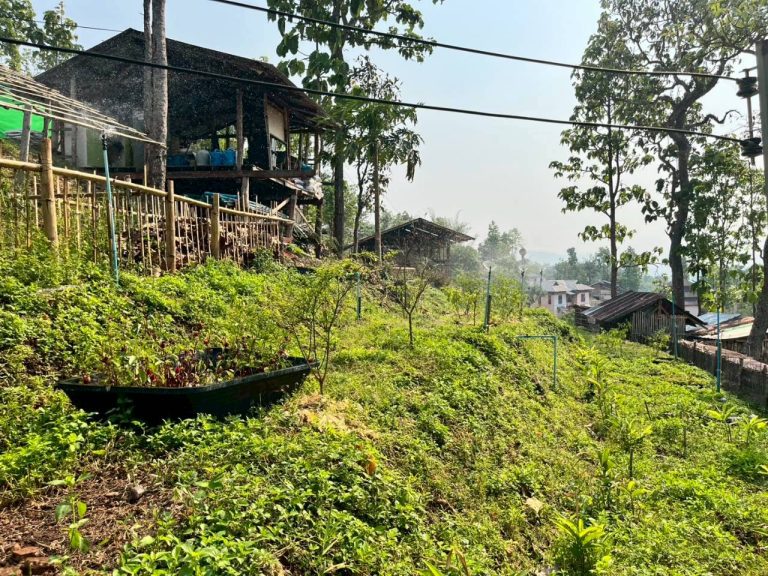 LINE_ALBUM_แปลงเกษตร3_260505_21