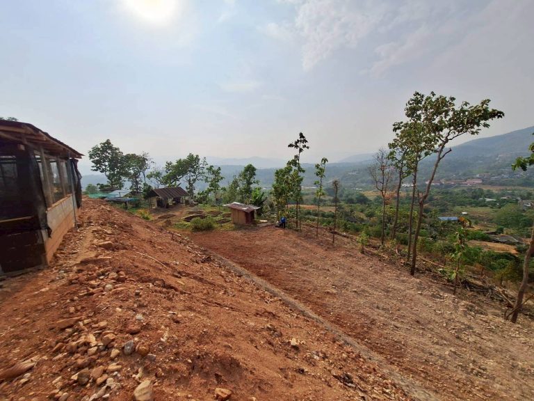 LINE_ALBUM_แปลงเกษตร3_260505_23