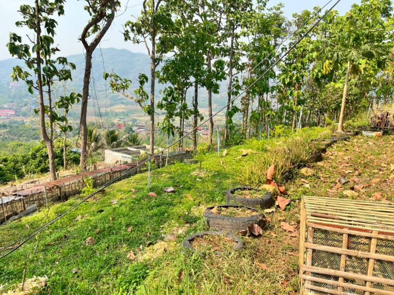 LINE_ALBUM_แปลงเกษตร3_260505_23