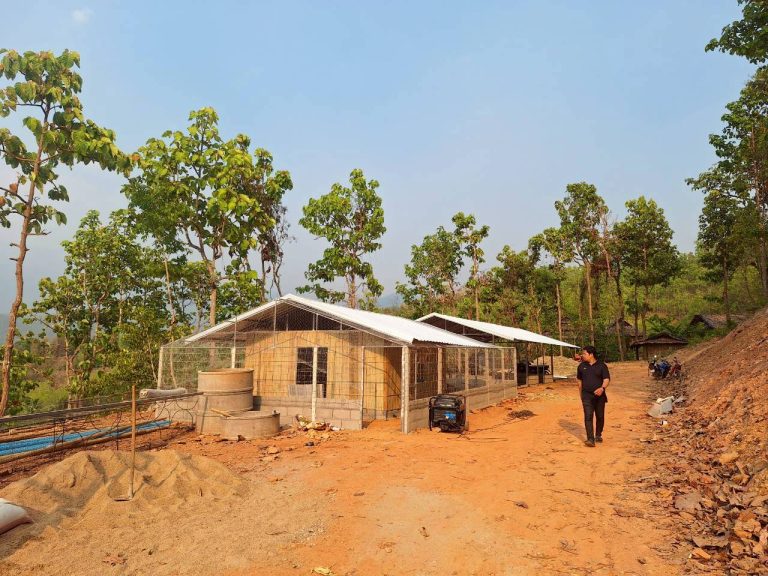 LINE_ALBUM_แปลงเกษตร3_260505_24