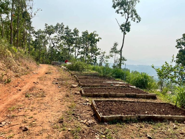 LINE_ALBUM_แปลงเกษตร3_260505_24