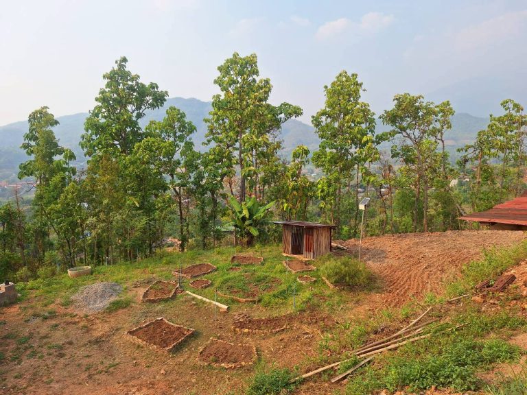 LINE_ALBUM_แปลงเกษตร3_260505_27