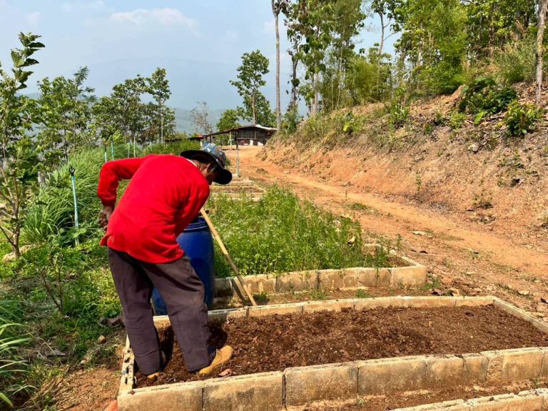 LINE_ALBUM_แปลงเกษตร3_260505_27