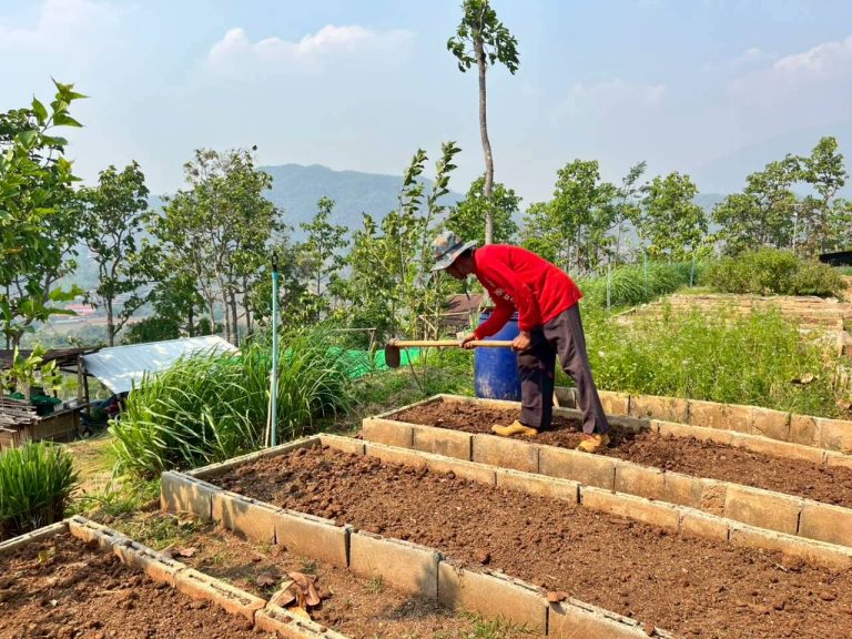 LINE_ALBUM_แปลงเกษตร3_260505_28