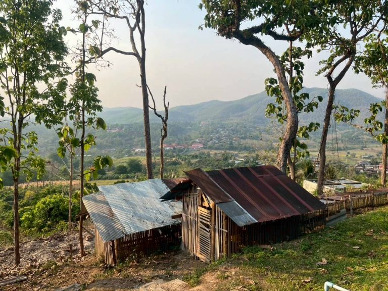 LINE_ALBUM_แปลงเกษตร3_260505_3