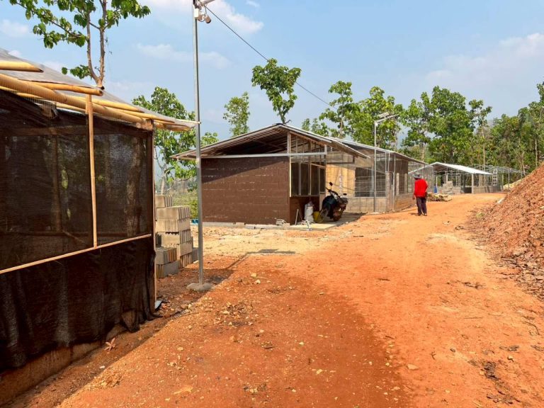 LINE_ALBUM_แปลงเกษตร3_260505_30