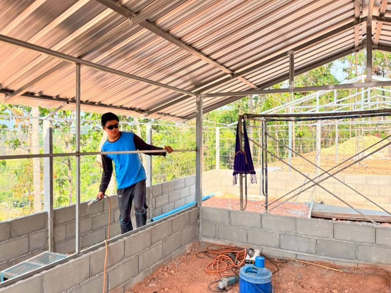 LINE_ALBUM_แปลงเกษตร3_260505_31