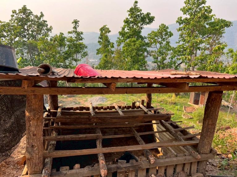 LINE_ALBUM_แปลงเกษตร3_260505_32