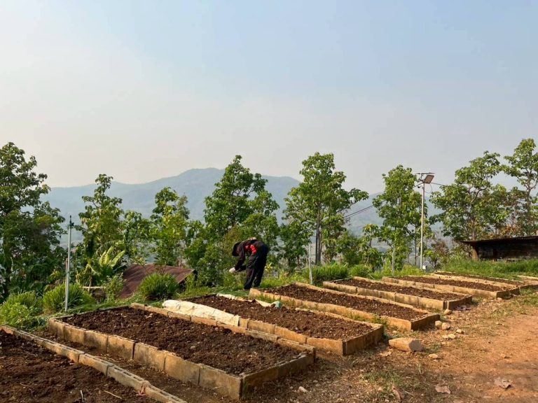 LINE_ALBUM_แปลงเกษตร3_260505_33