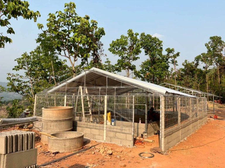 LINE_ALBUM_แปลงเกษตร3_260505_36