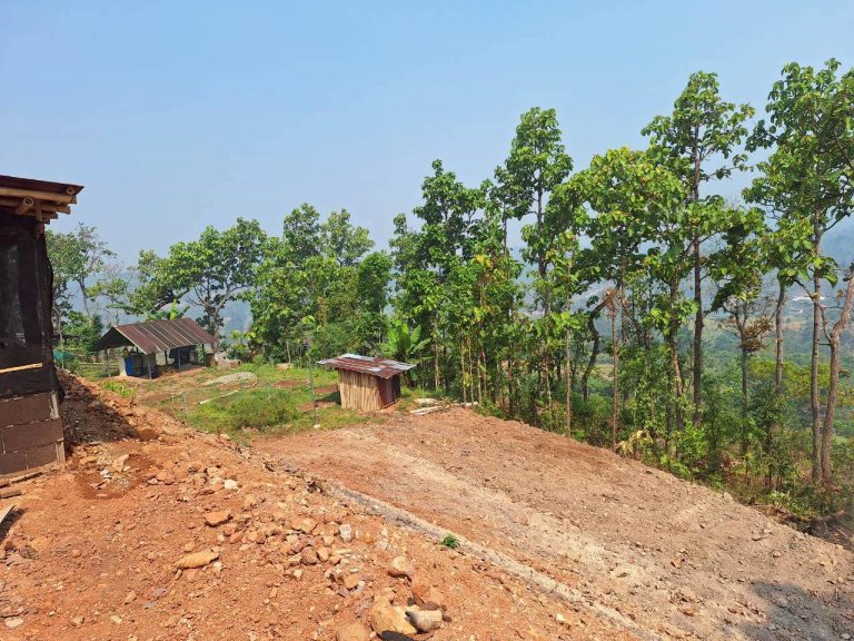 LINE_ALBUM_แปลงเกษตร3_260505_37