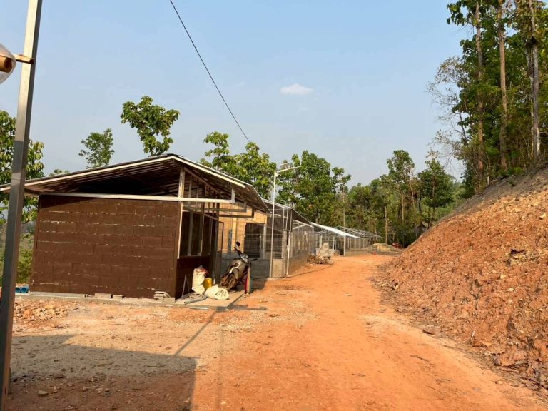 LINE_ALBUM_แปลงเกษตร3_260505_37
