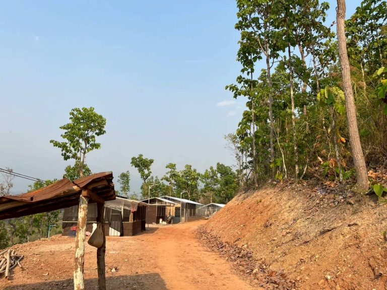 LINE_ALBUM_แปลงเกษตร3_260505_39