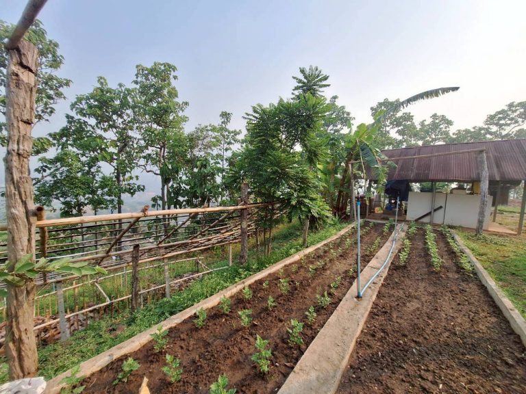 LINE_ALBUM_แปลงเกษตร3_260505_40