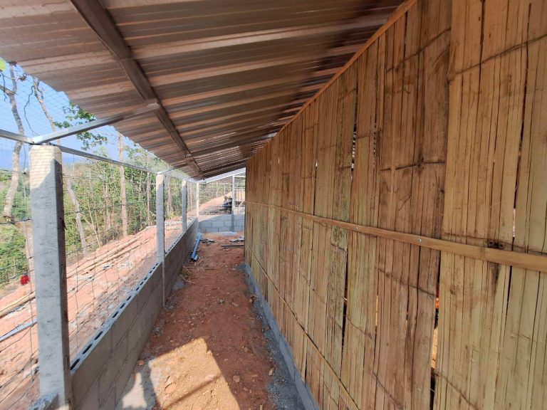 LINE_ALBUM_แปลงเกษตร3_260505_48