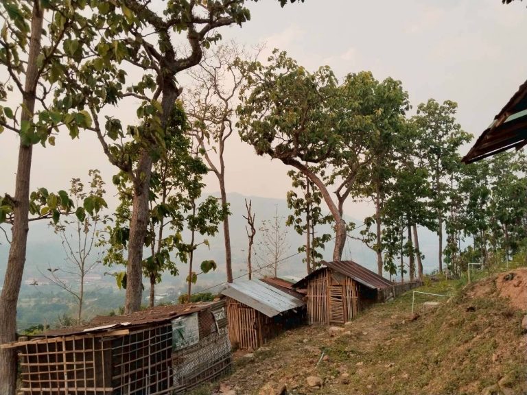 LINE_ALBUM_แปลงเกษตร3_260505_5