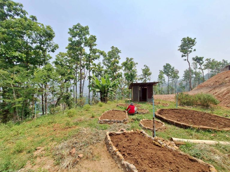 LINE_ALBUM_แปลงเกษตร3_260505_52