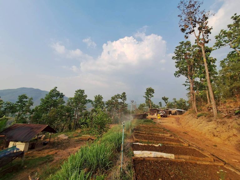 LINE_ALBUM_แปลงเกษตร3_260505_52