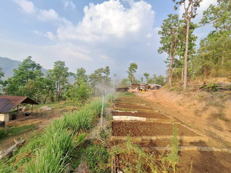 LINE_ALBUM_แปลงเกษตร3_260505_53