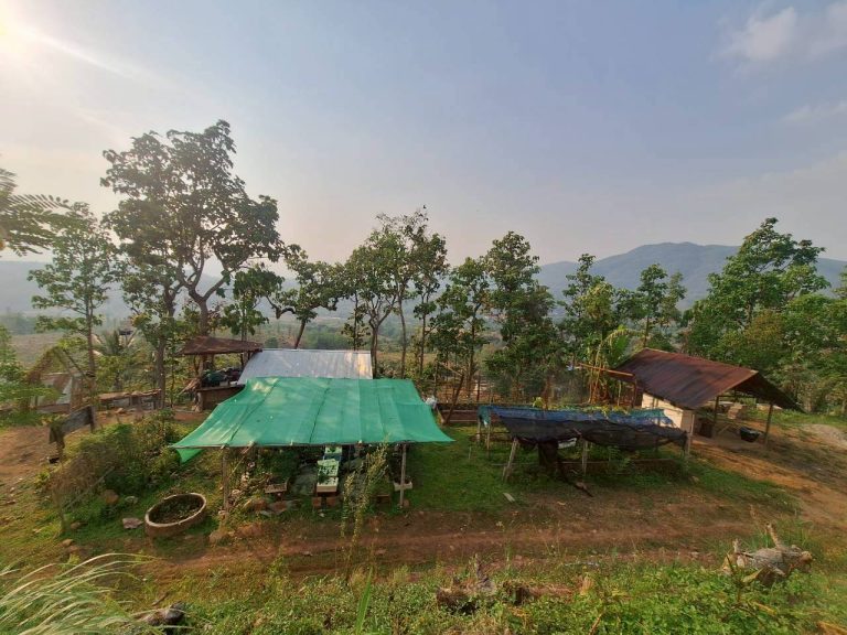 LINE_ALBUM_แปลงเกษตร3_260505_54