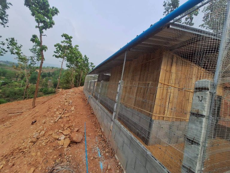 LINE_ALBUM_แปลงเกษตร3_260505_59