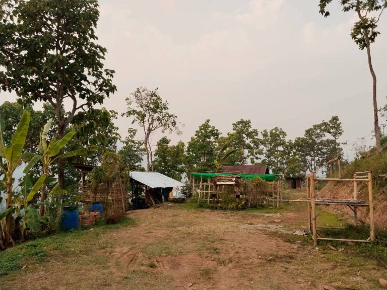 LINE_ALBUM_แปลงเกษตร3_260505_6