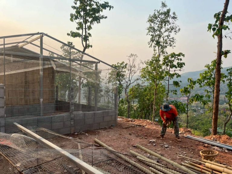 LINE_ALBUM_แปลงเกษตร3_260505_6