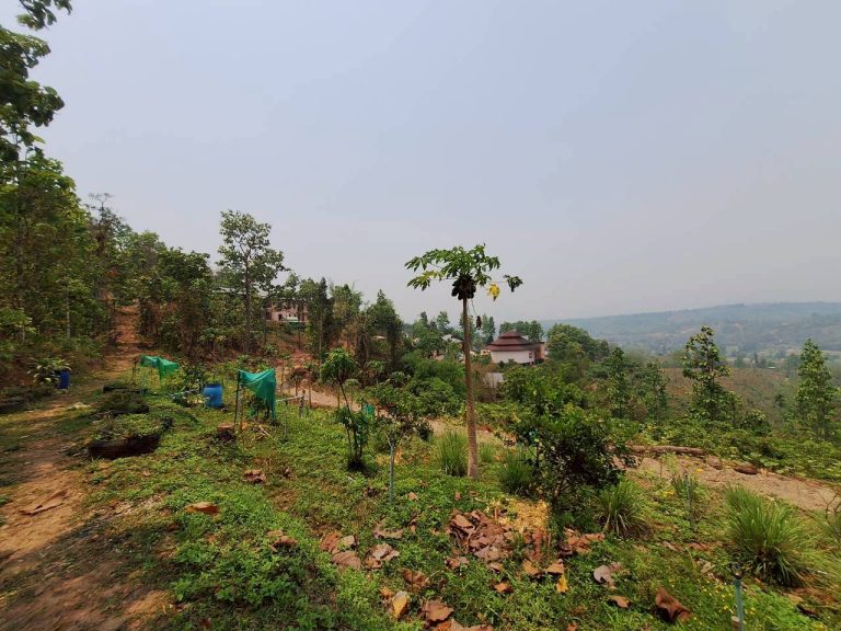 LINE_ALBUM_แปลงเกษตร3_260505_6