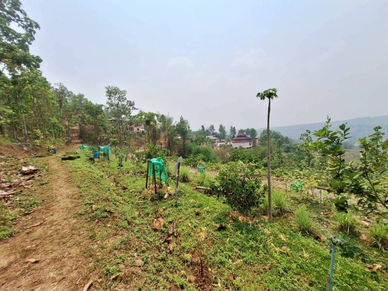LINE_ALBUM_แปลงเกษตร3_260505_65