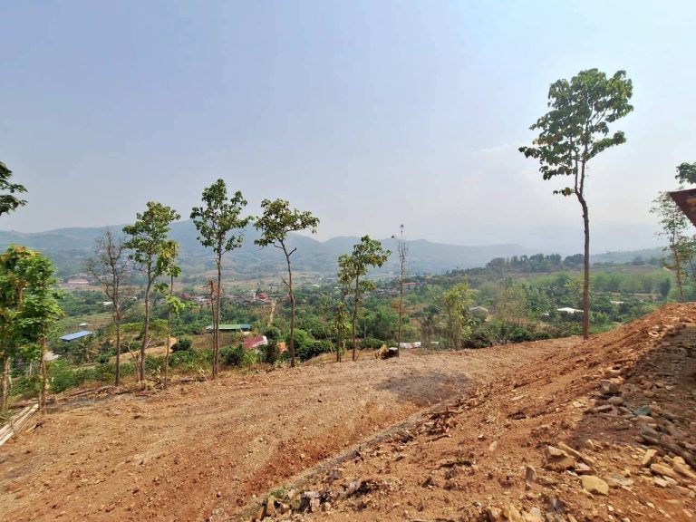 LINE_ALBUM_แปลงเกษตร3_260505_66
