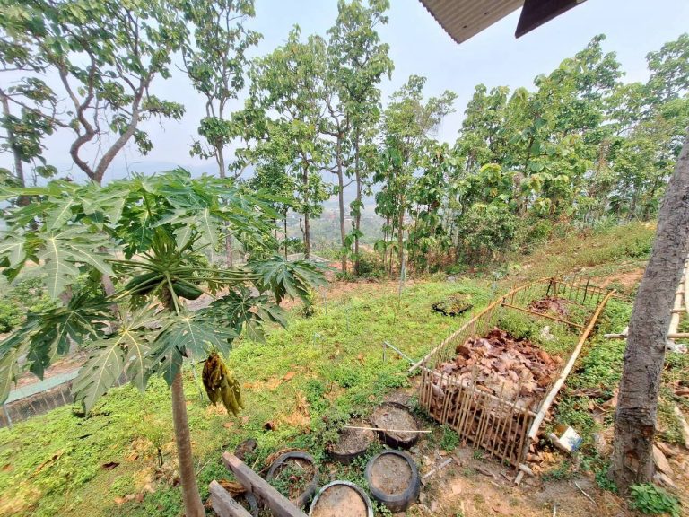 LINE_ALBUM_แปลงเกษตร3_260505_7