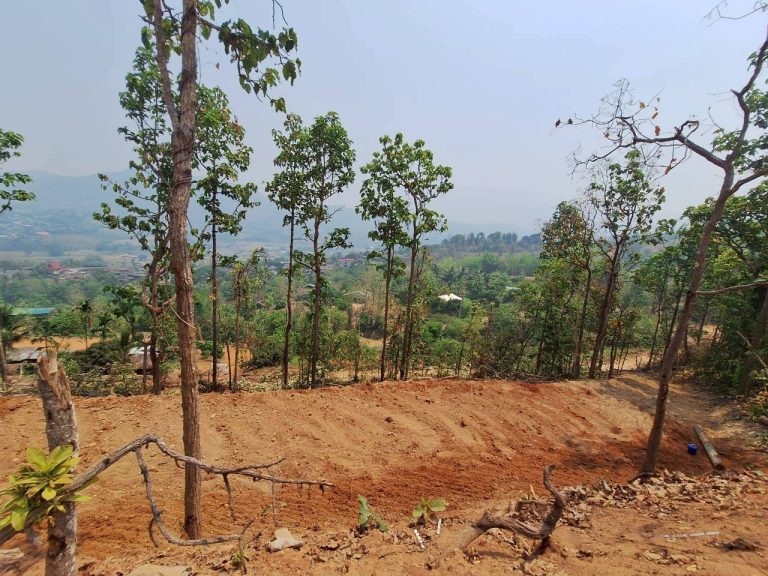LINE_ALBUM_แปลงเกษตร3_260505_70