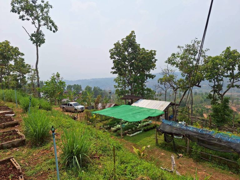 LINE_ALBUM_แปลงเกษตร3_260505_70