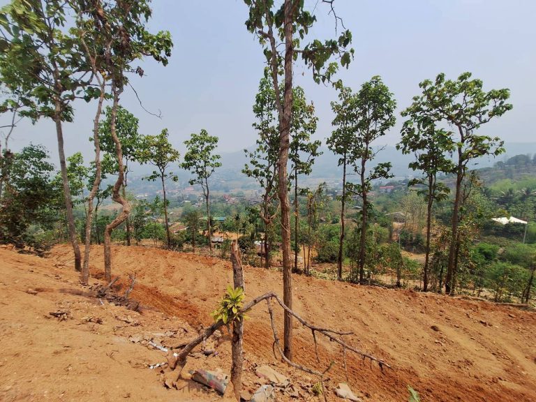 LINE_ALBUM_แปลงเกษตร3_260505_71