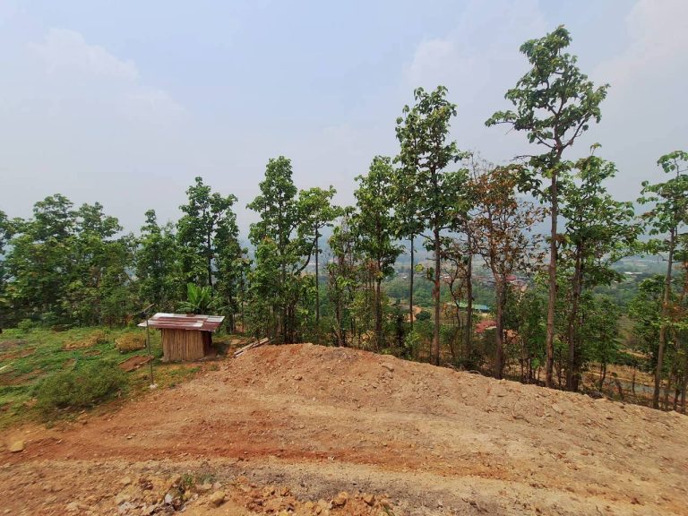 LINE_ALBUM_แปลงเกษตร3_260505_75