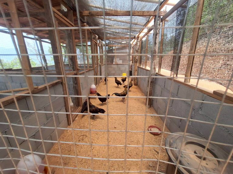 LINE_ALBUM_แปลงเกษตร3_260505_76