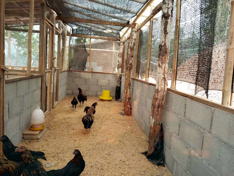 LINE_ALBUM_แปลงเกษตร3_260505_8