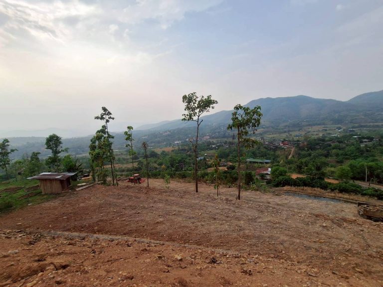 LINE_ALBUM_แปลงเกษตร3_260505_82
