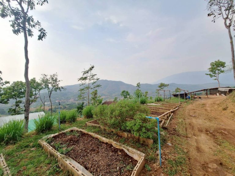 LINE_ALBUM_แปลงเกษตร3_260505_89