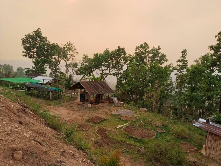 LINE_ALBUM_แปลงเกษตร3_260505_9