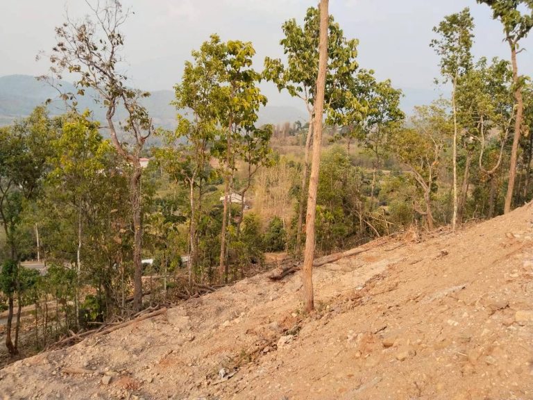 LINE_ALBUM_แปลงเกษตร3_260505_9