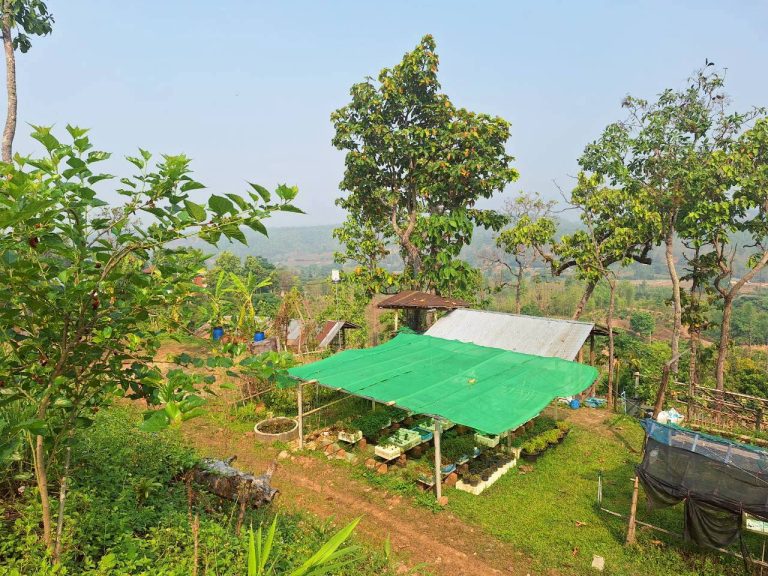 LINE_ALBUM_แปลงเกษตร3_260505_93