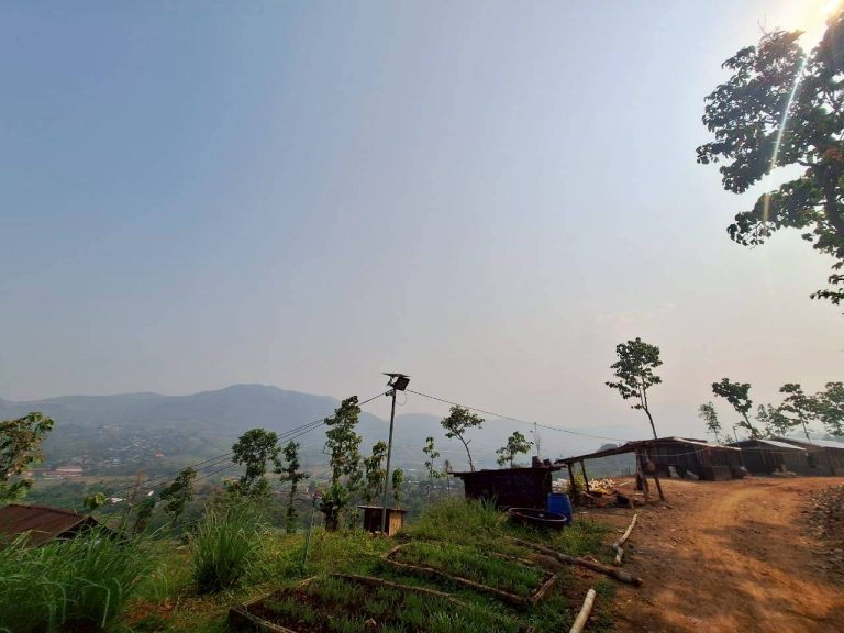 LINE_ALBUM_แปลงเกษตร3_260505_96