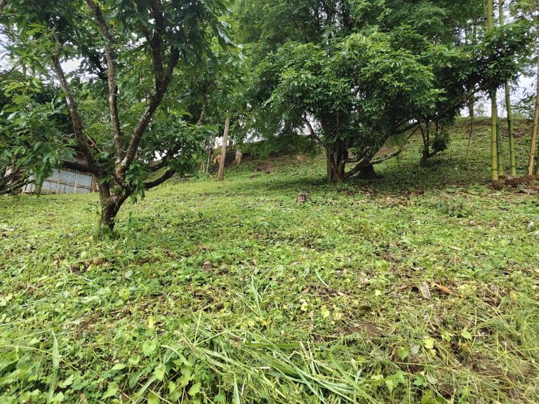 283020_0
