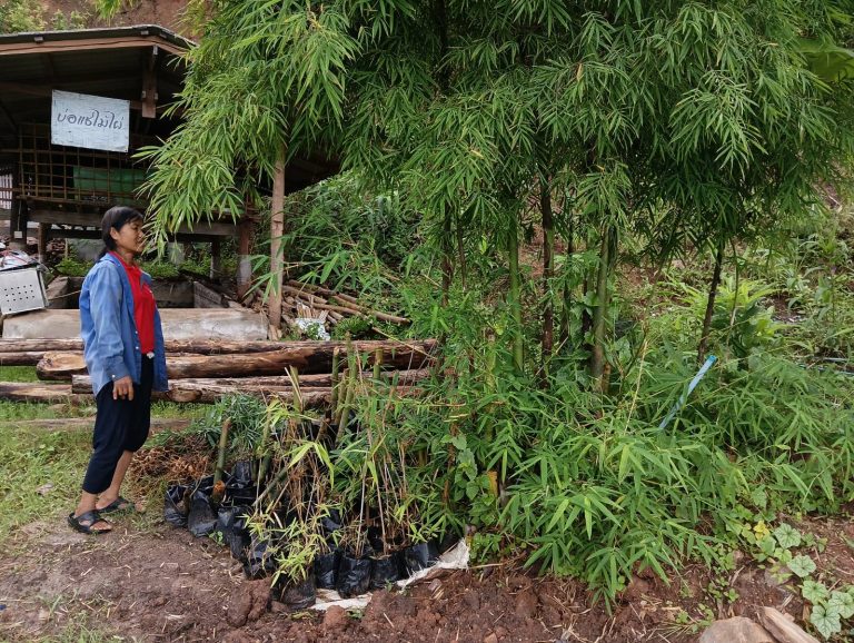 618907_0