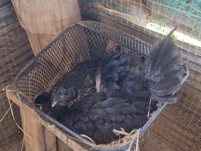826024_0