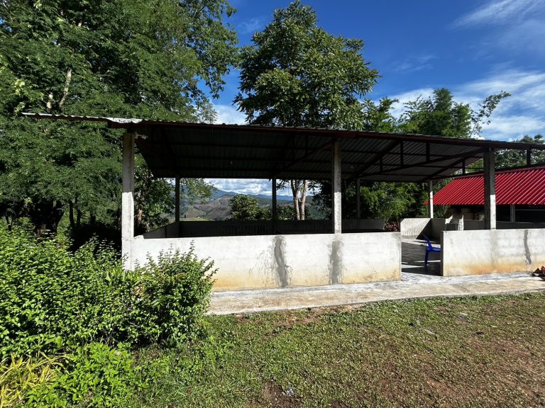 S__12877860_0