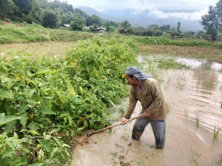 684898_0