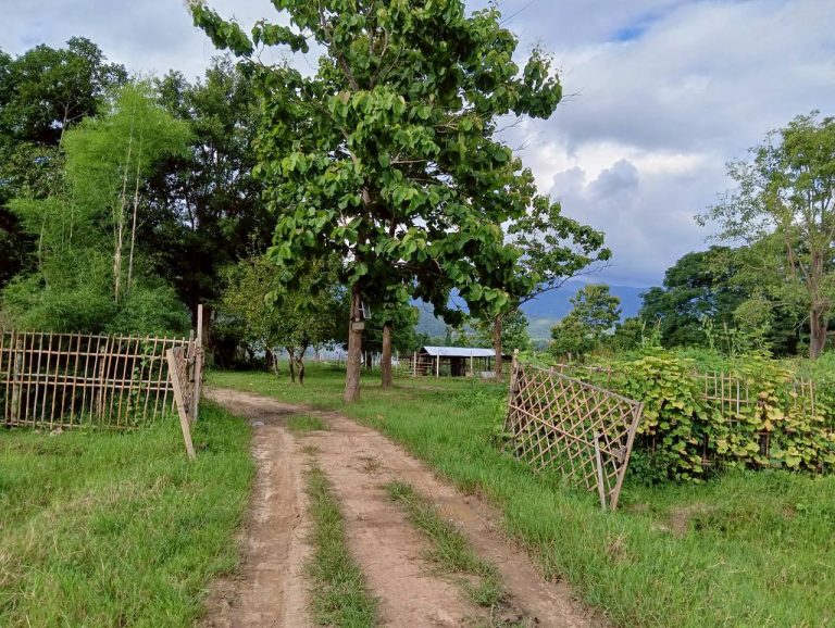 LINE_ALBUM_นาสหการ3_260714_10